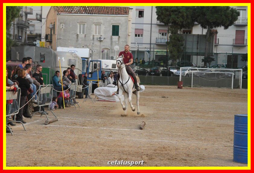 161106 equestre 024_tn.jpg